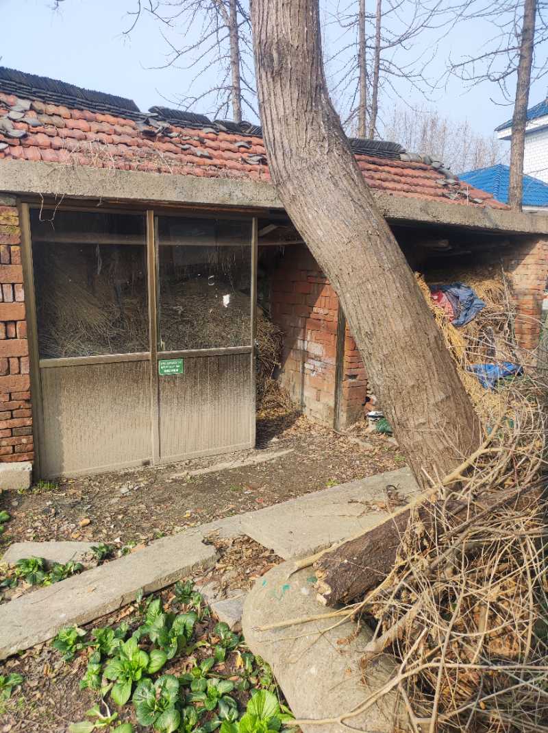 家里的老房子，宛如一首古老的诗篇