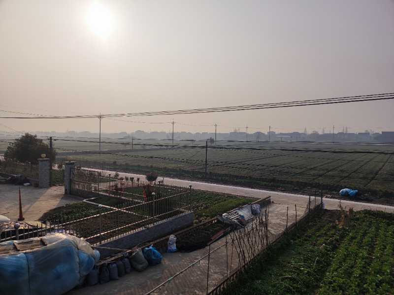 家门口的“田成方、渠相连”的千亩生态良田