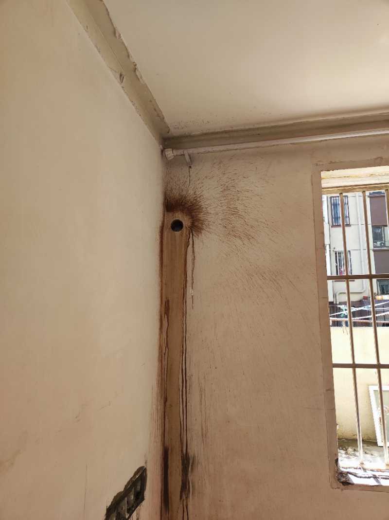 南通虹桥新村 2*-103 施工照片