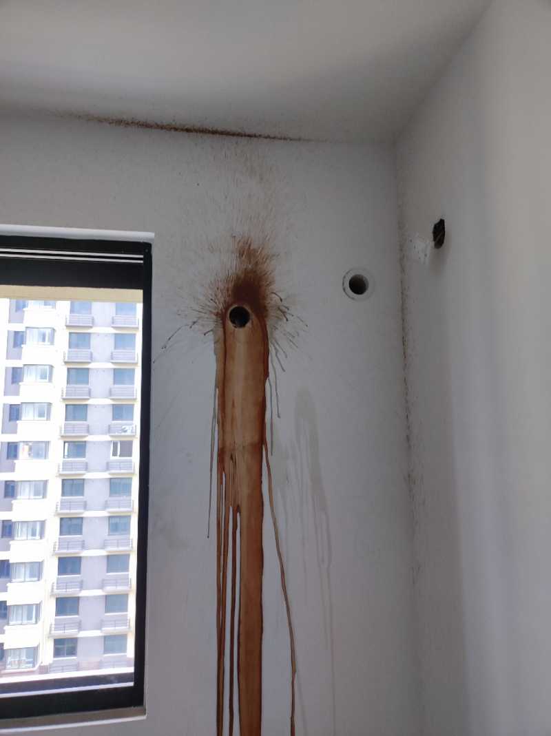 南通兴石花园 7*-803 施工照片