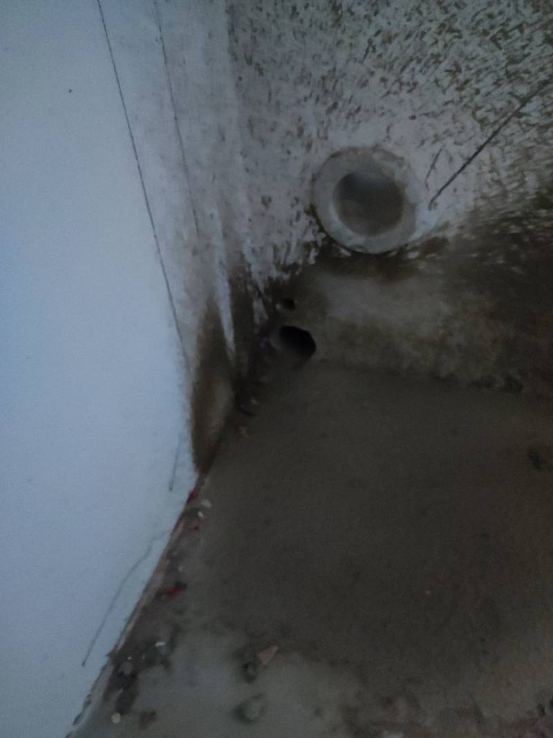 南通先锋佳苑 1*-803 施工照片