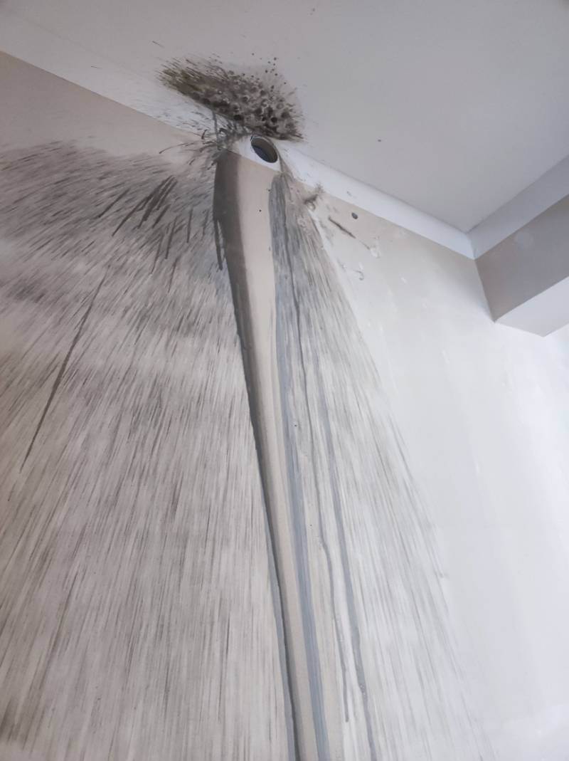 南通绿地江海图 2*-403 施工照片