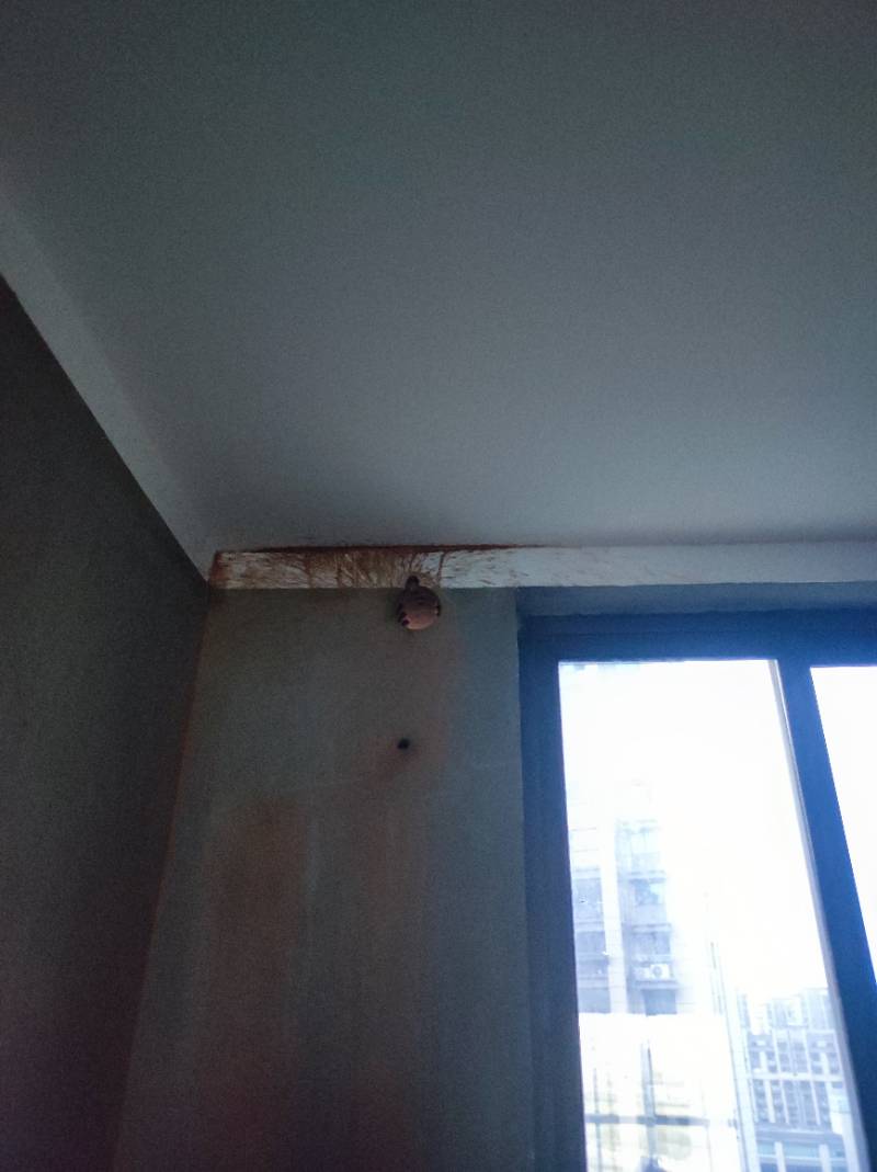 南通紫东南苑 1*一1002 施工照片