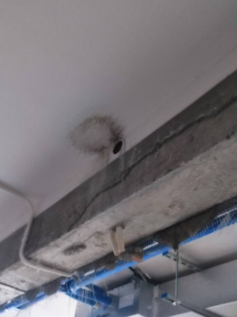 南通朝阳花苑 5*-2401 施工照片