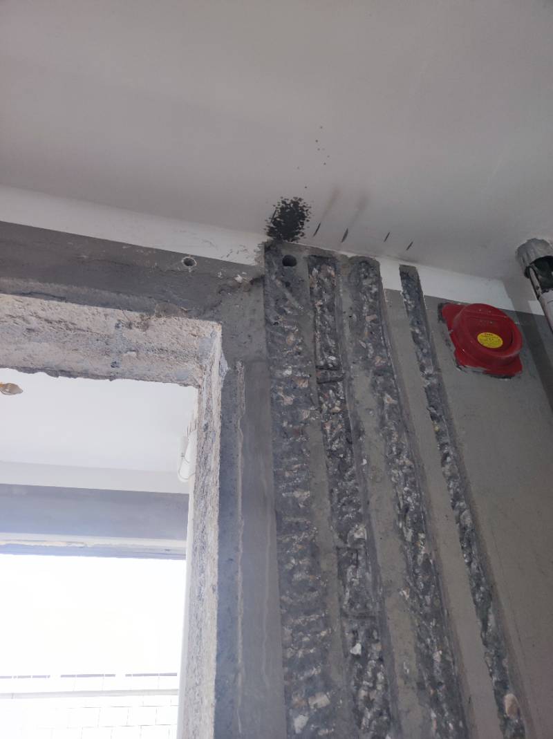 南通永通花园 *-203 施工照片