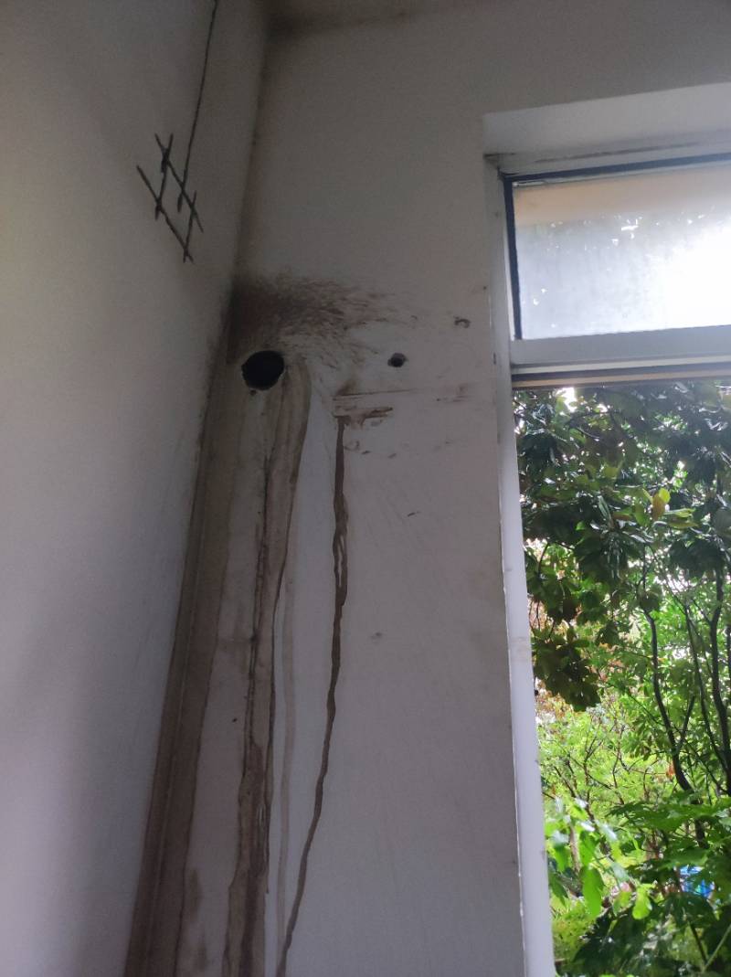 南通中南世纪花城 2*-106 施工照片