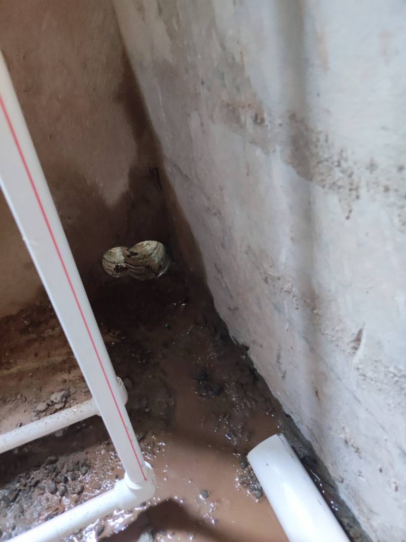 南通南园路19号大院 *-205 施工照片