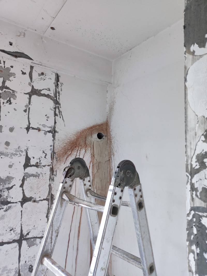 南通学田北苑 3*-202 施工照片