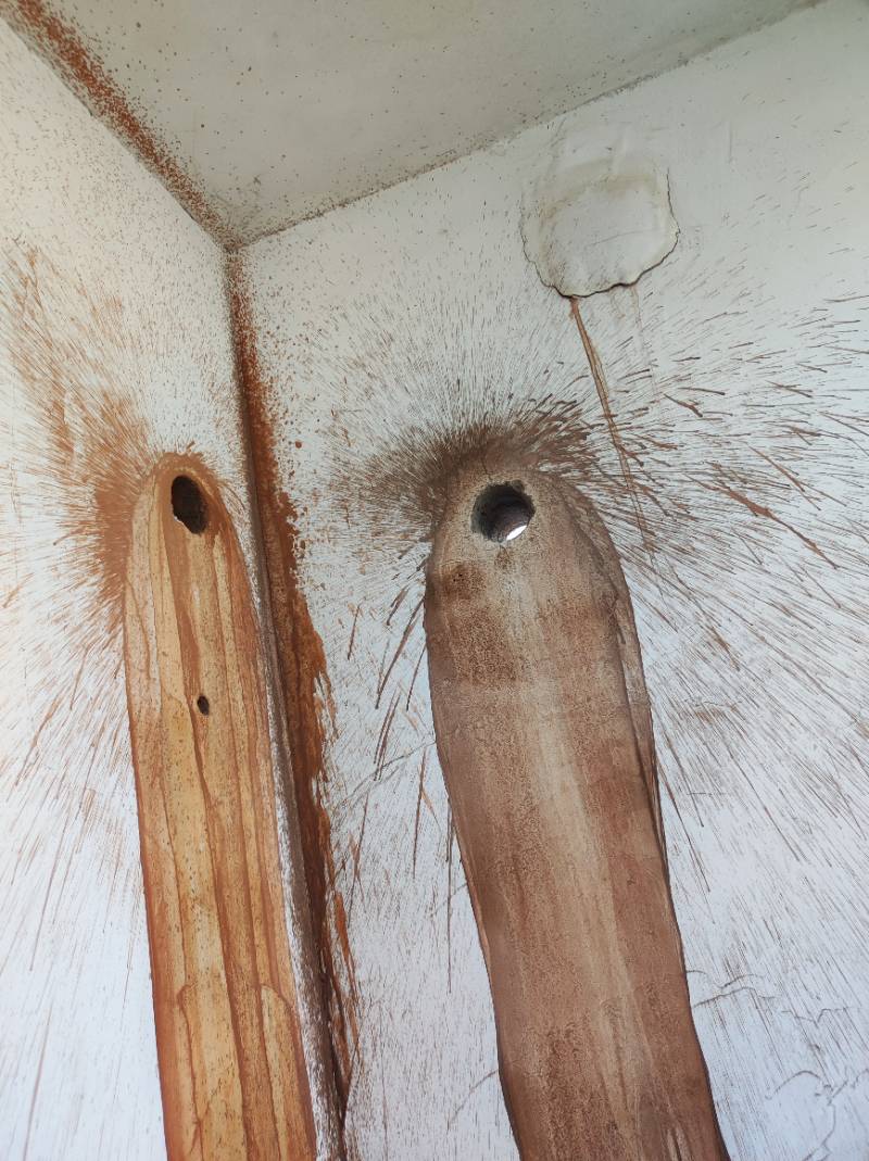 南通金辉花园 *-504 施工照片