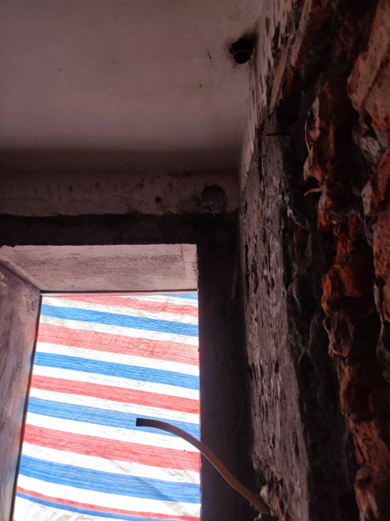 南通易家桥新村 10*-104 施工照片