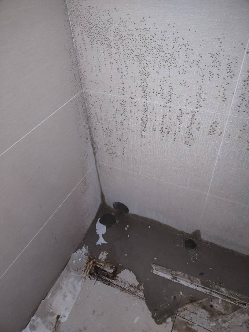 南通弘阳上城 1*-2504 施工照片