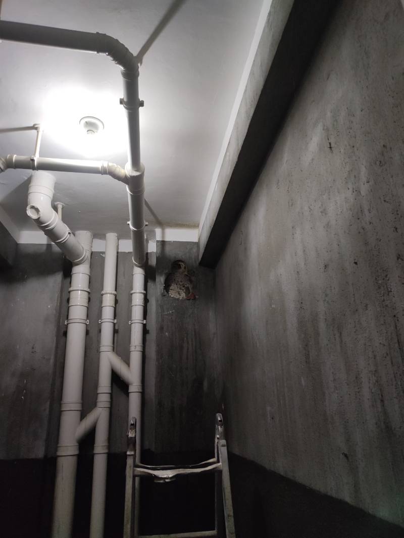 南通水木清华 82*-202 施工照片