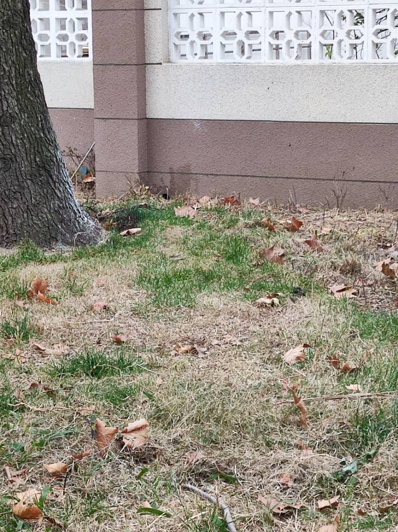 南通虹桥新村 6*-102 施工照片