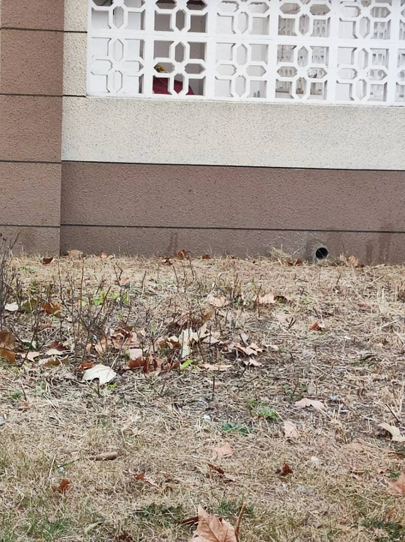 南通虹桥新村 6*-102 施工照片