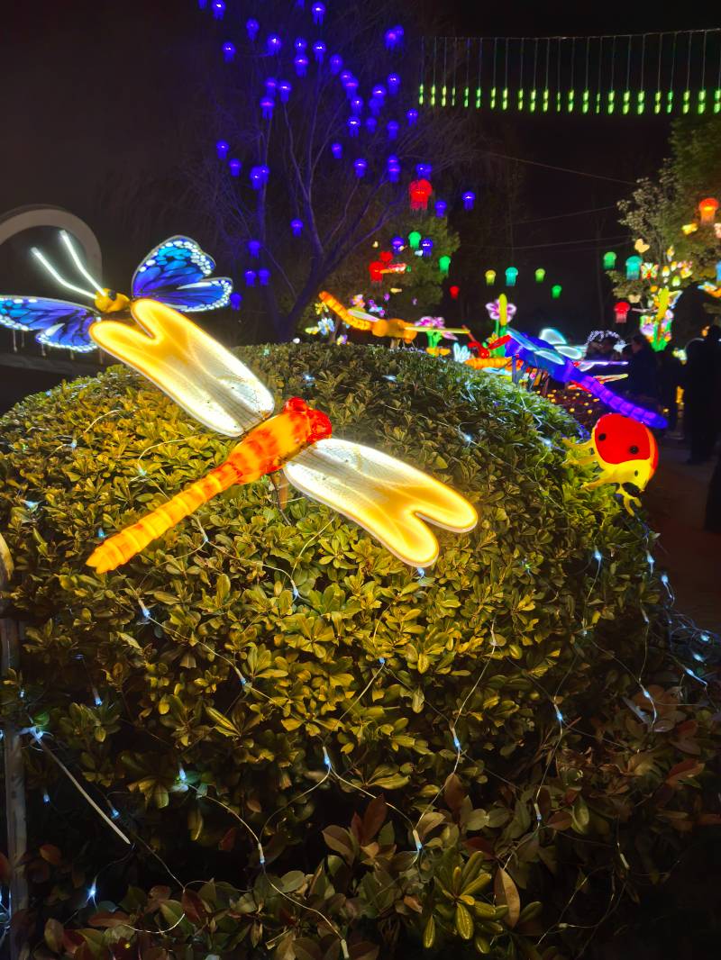 狼山灯影，非遗华章