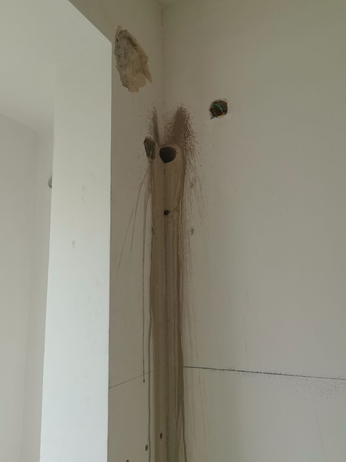 南通金地繁茂里 1*-402 施工照片