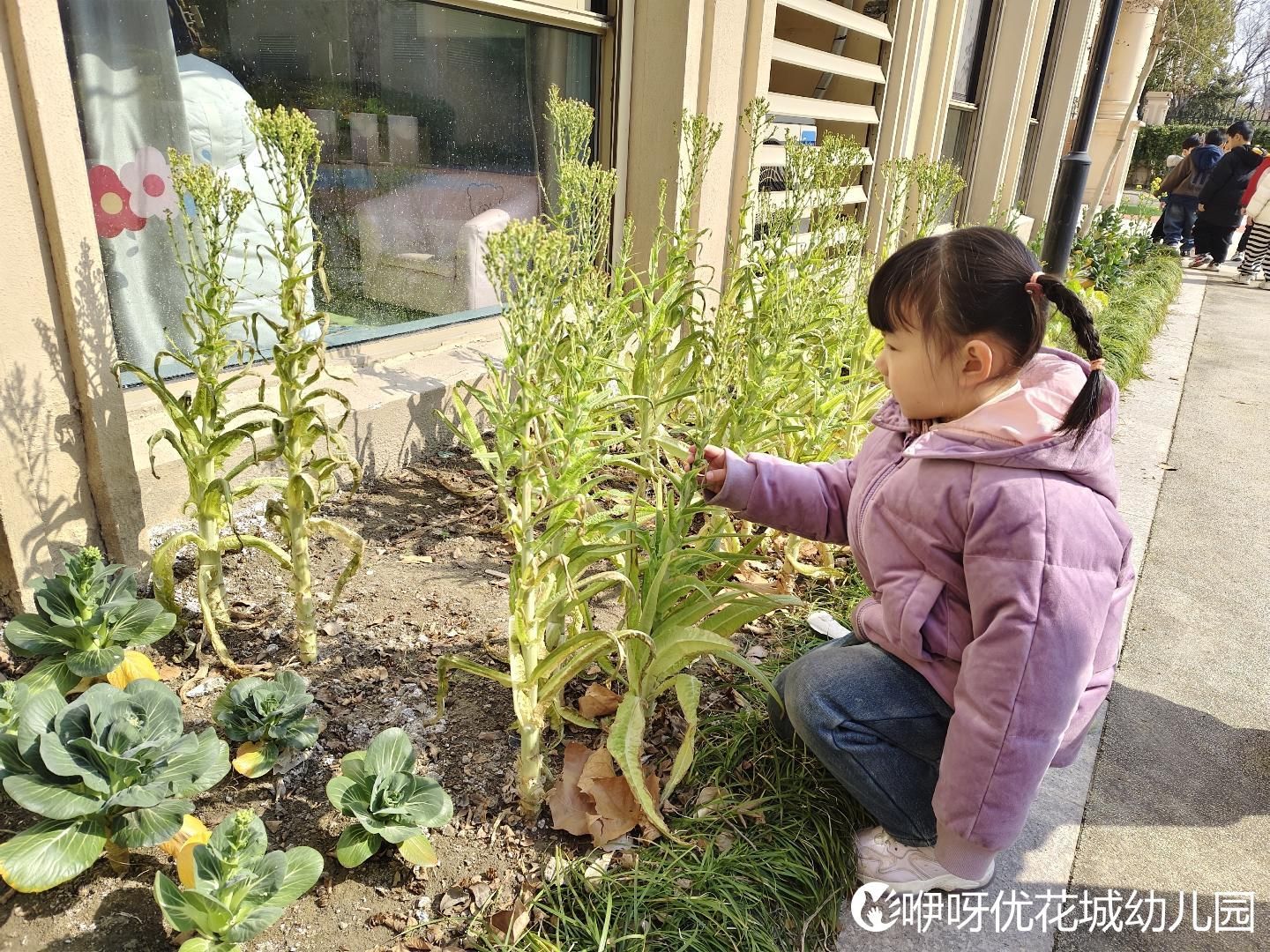小女儿开启了厌学模式