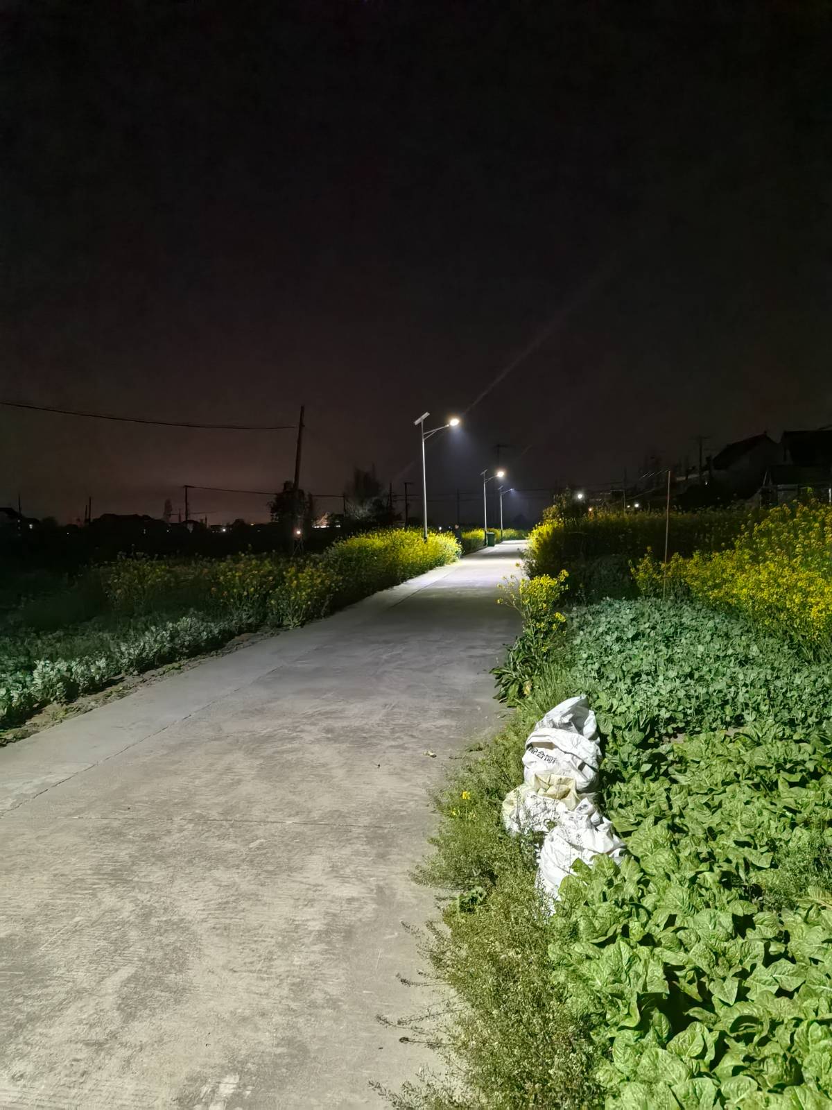 路灯串起小路，照亮老家的夜