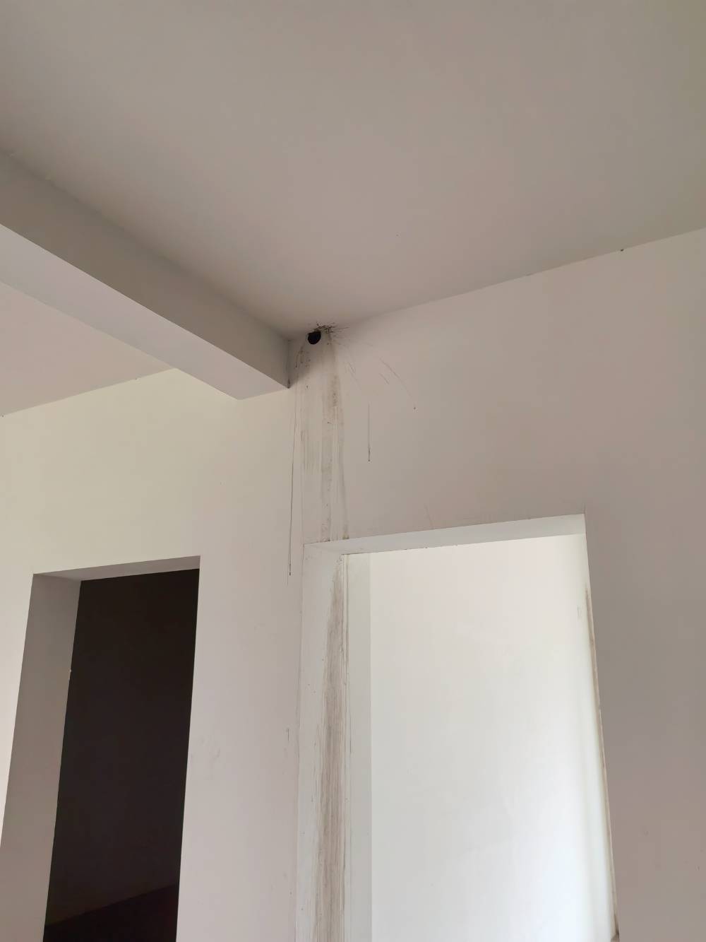 南通兴港佳苑 *-205 施工照片