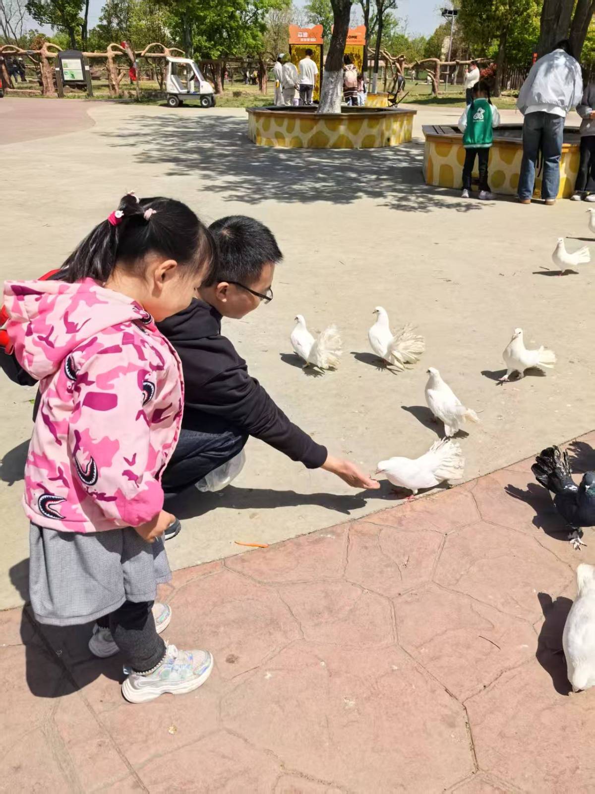 南通野生动物园的奇妙周末之旅