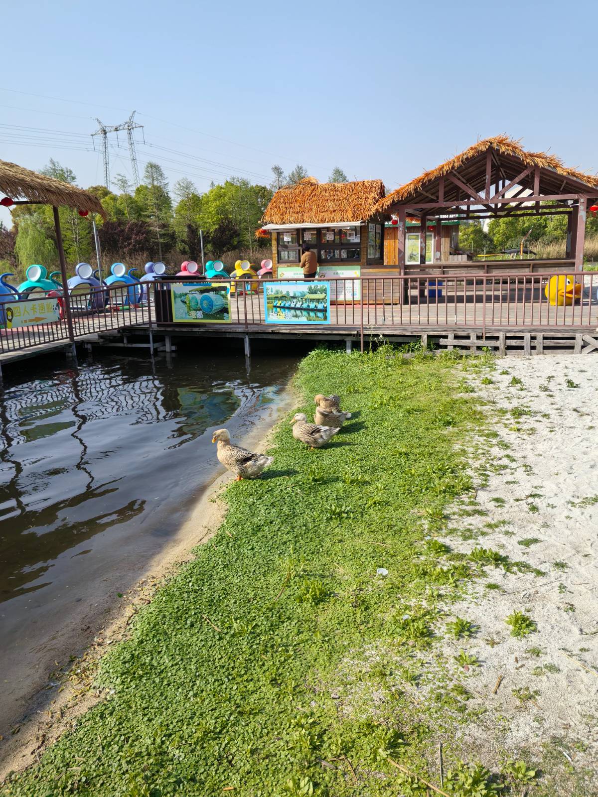 南通野生动物园的奇妙周末之旅