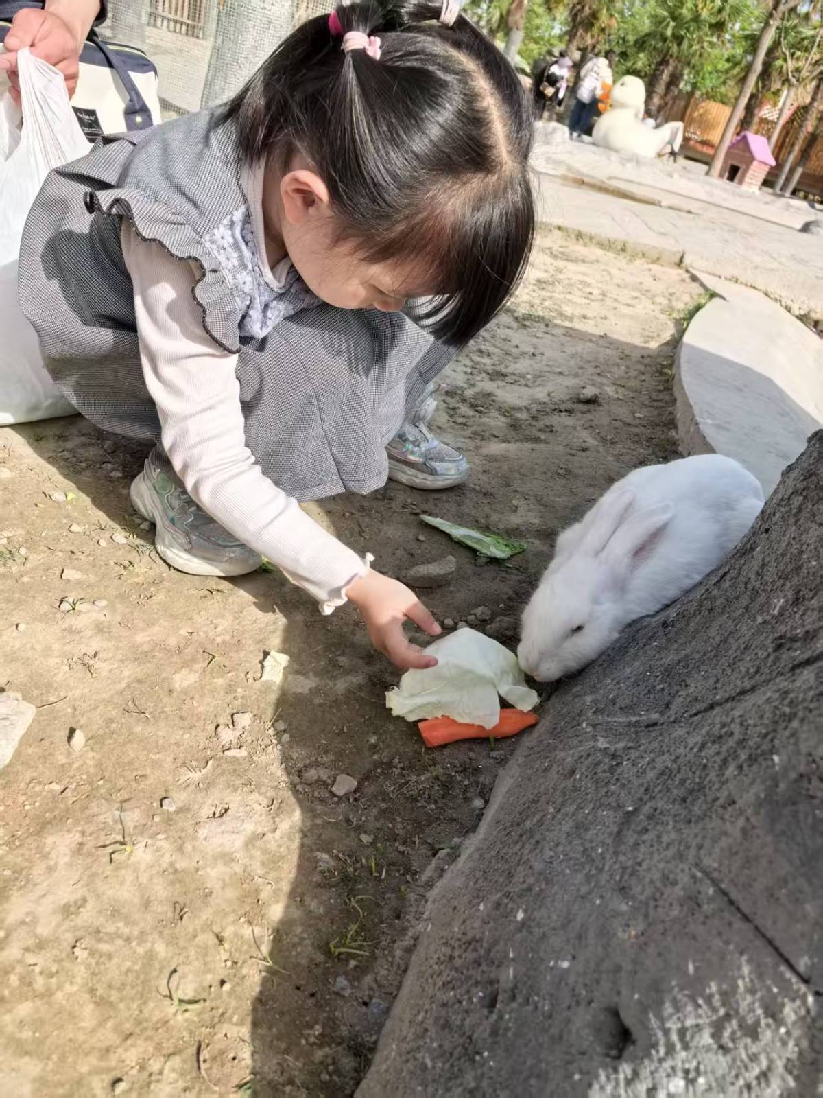 南通野生动物园的奇妙周末之旅