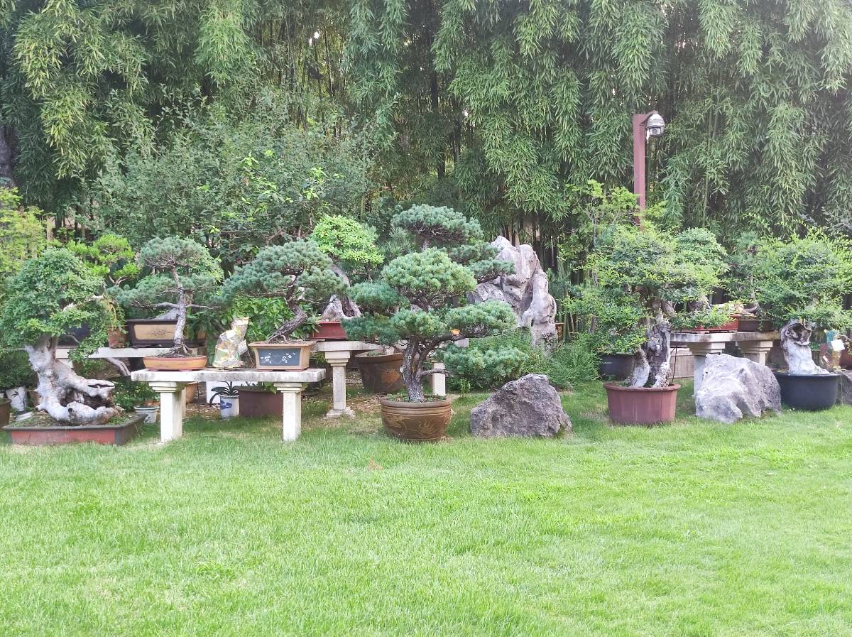 南京二日游之瞻园