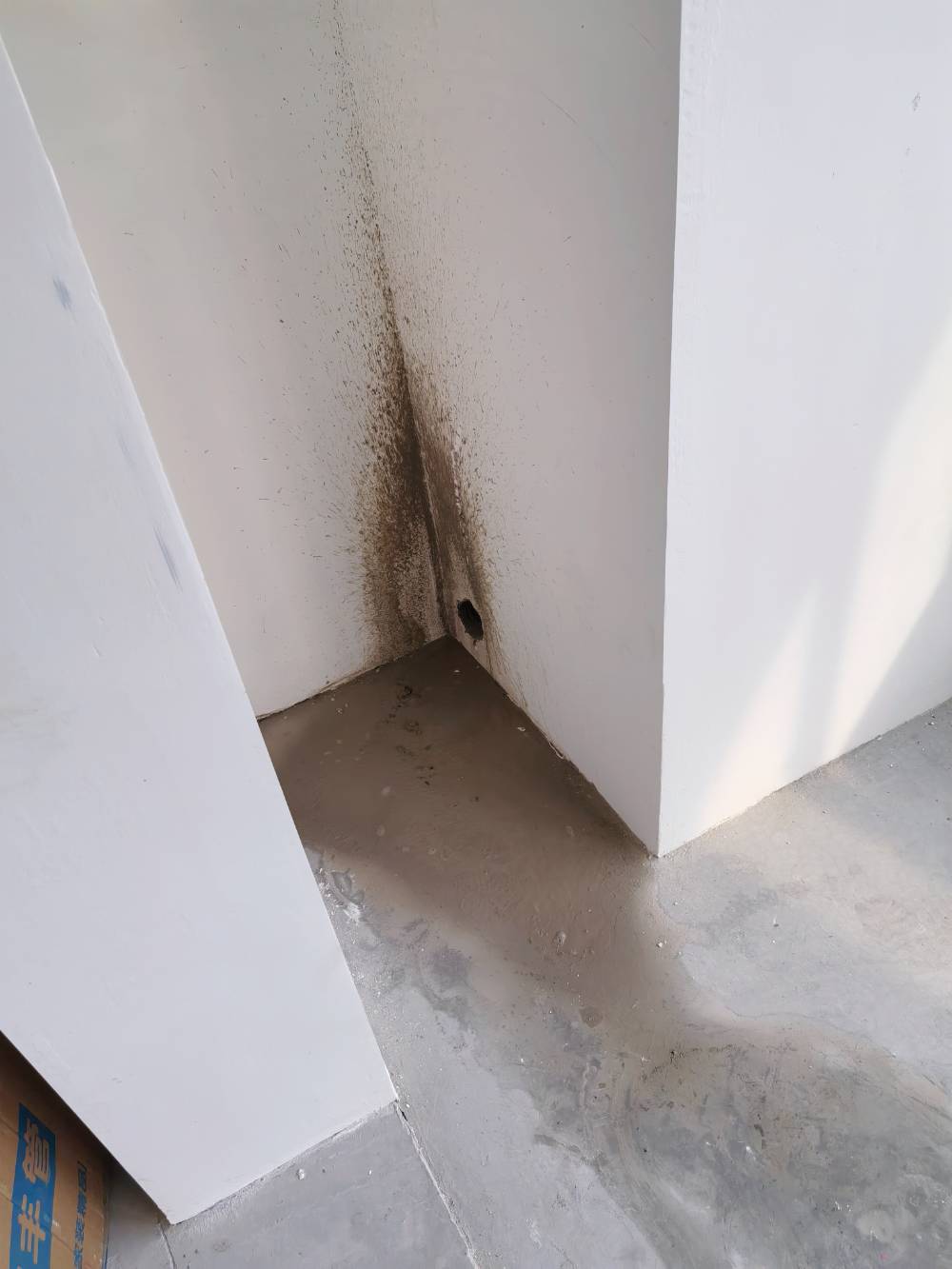 南通龙禧苑 1*-1302 施工照片