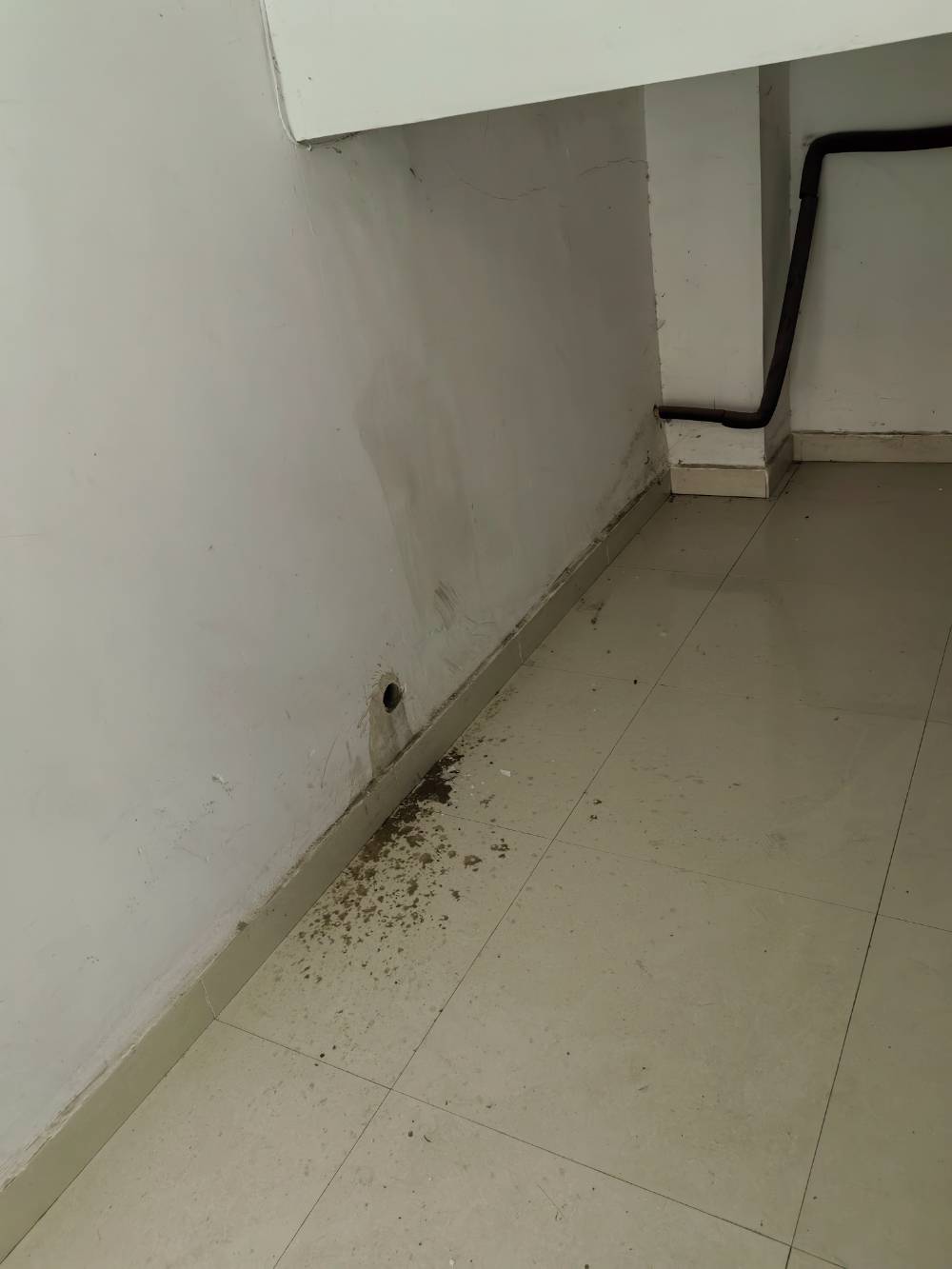 南通香溢紫郡 社区牙科诊所 施工照片