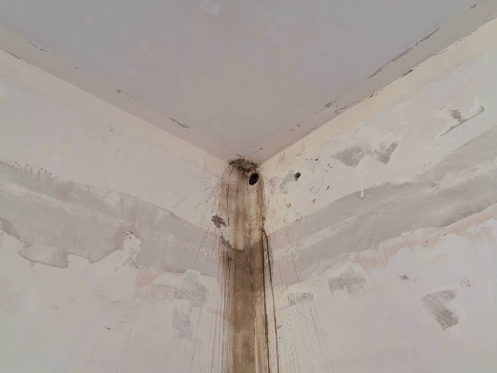 南通郭里园 8*-409 施工照片