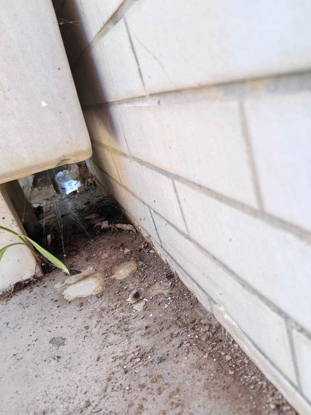 南通天都花苑 *-503 施工照片