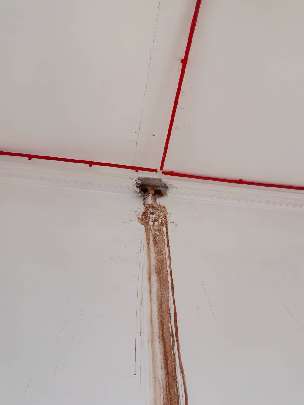 南通团圆村 民房 施工照片