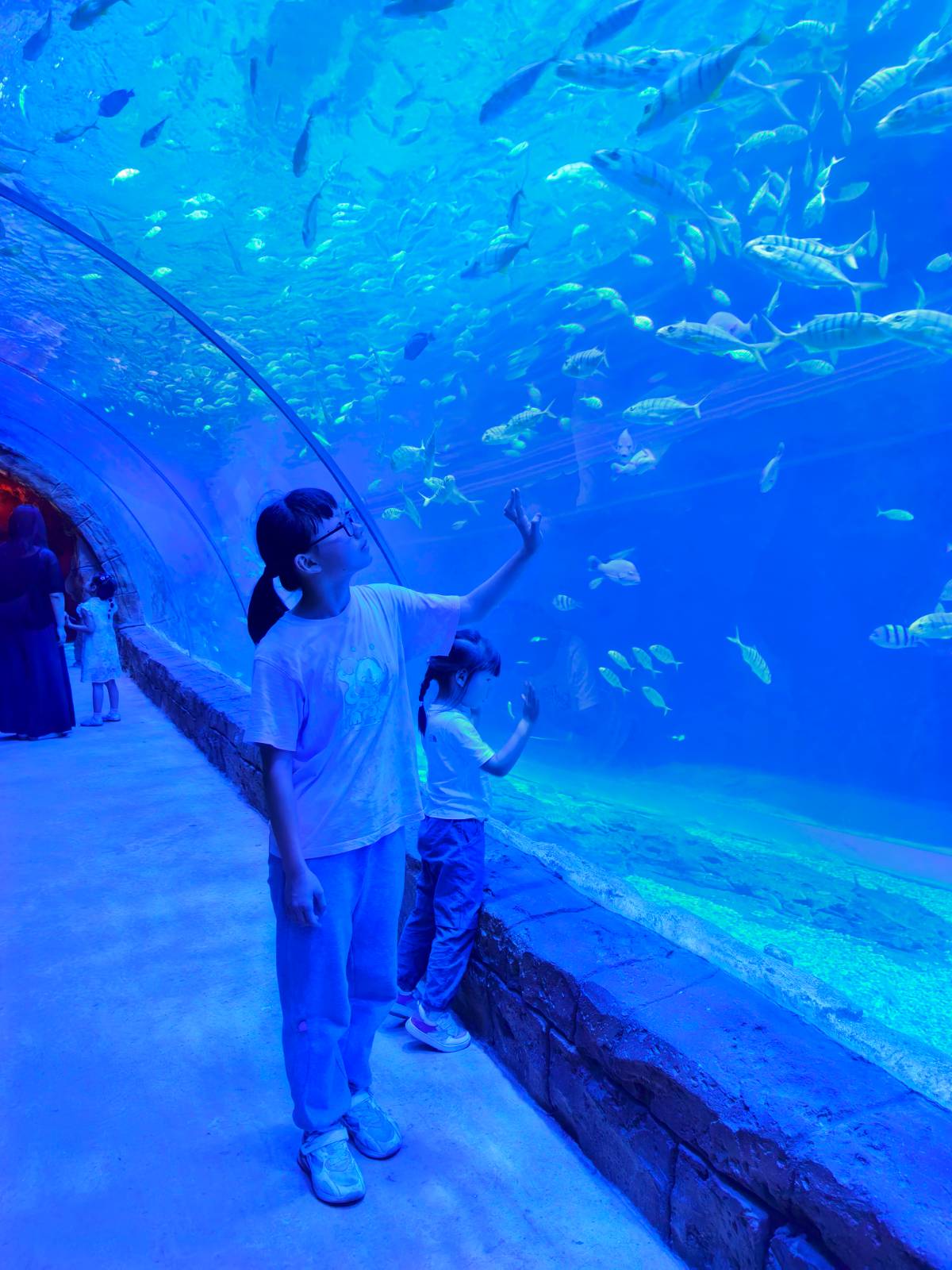 带俩娃玩南通森迪海洋冰雪乐园：开学前的最后一疯