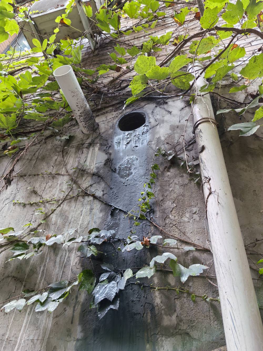 南通段家坝 @ 爱迪电动车