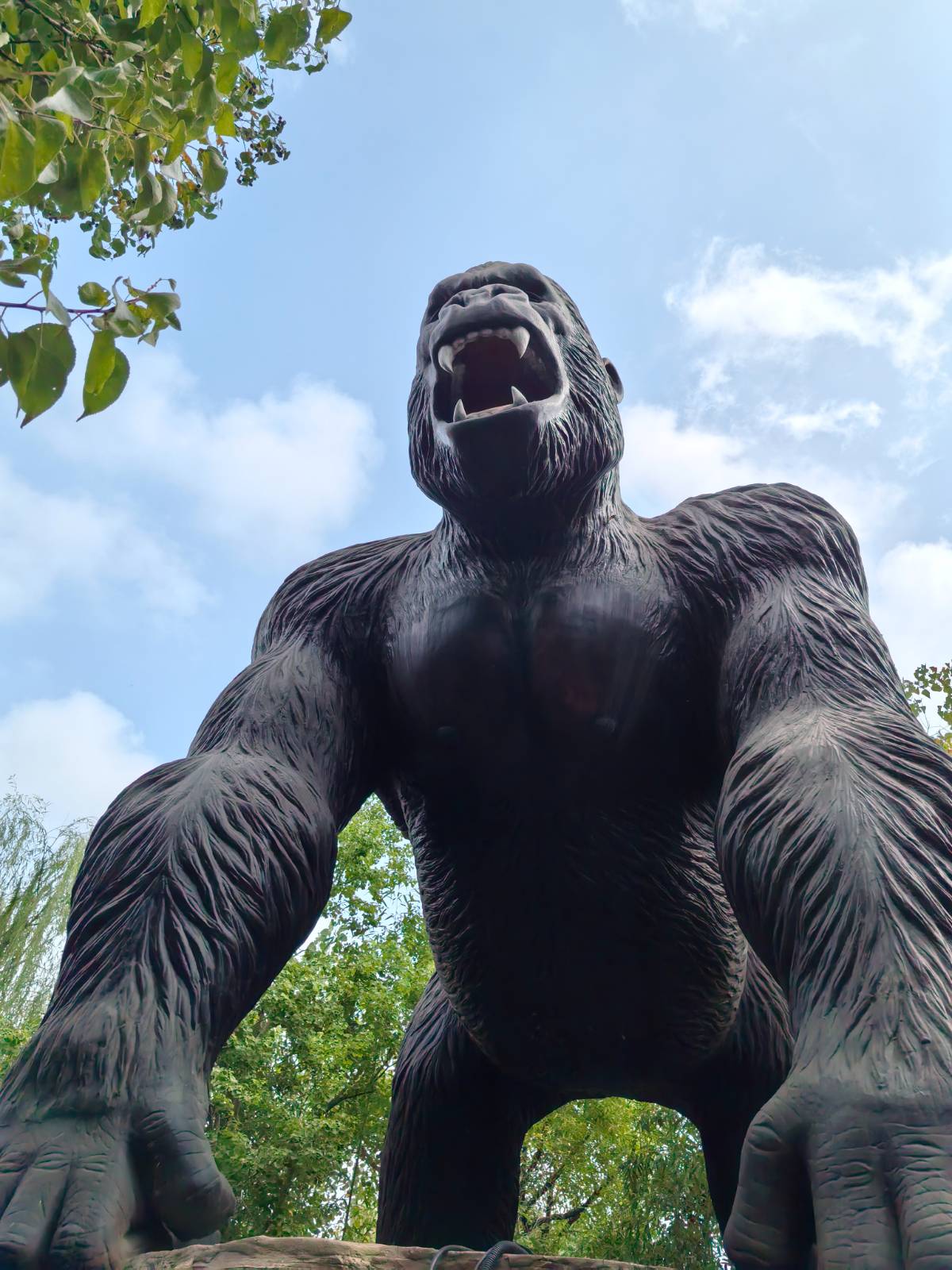 奇妙农场西游季:姐妹花的游戏与游乐狂欢全记录