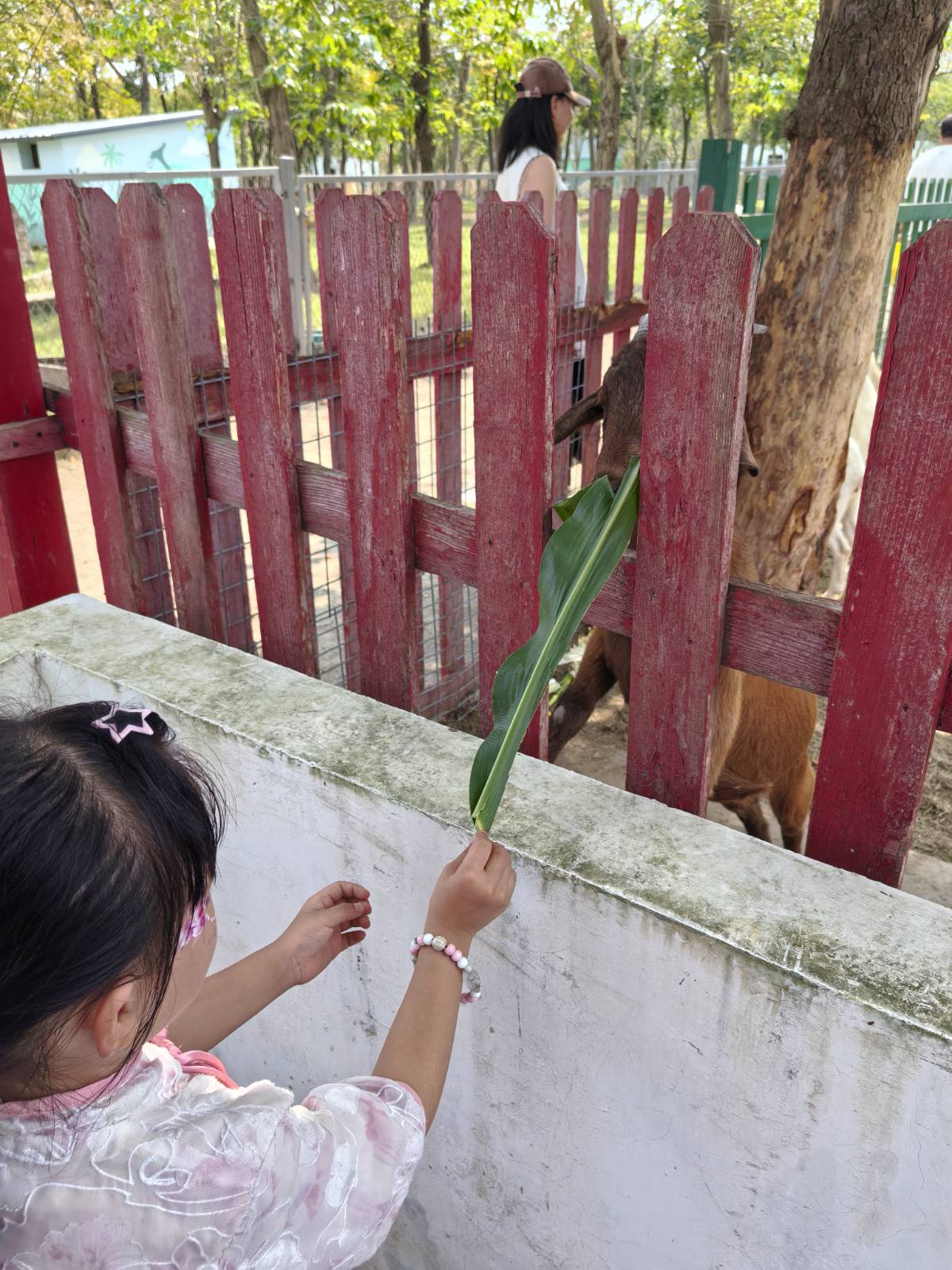 奇妙农场西游季:姐妹花的游戏与游乐狂欢全记录