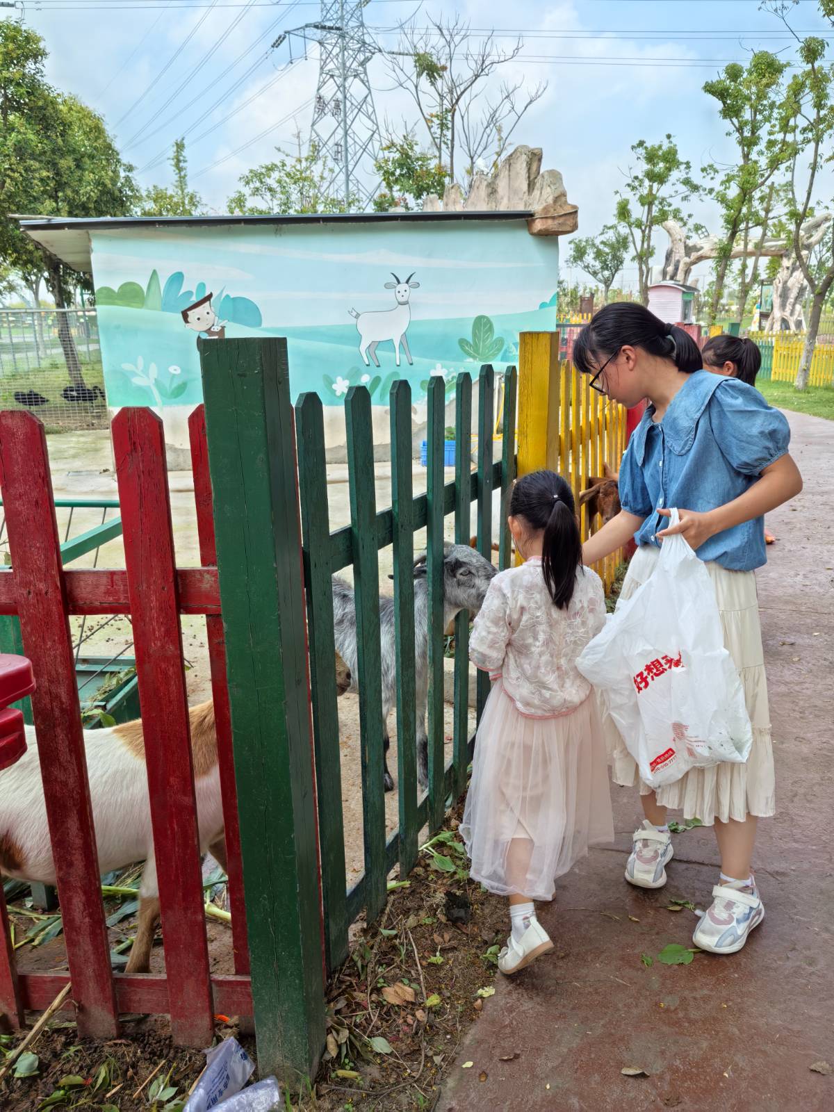 奇妙农场西游季:姐妹花的游戏与游乐狂欢全记录