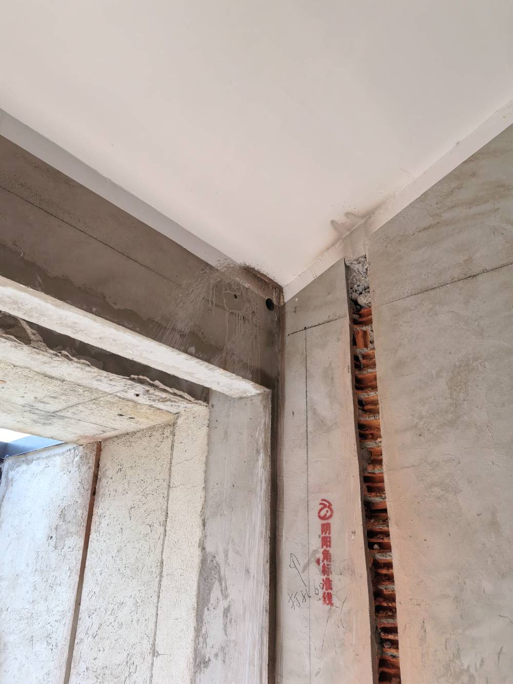 南通江岸水苑 1*-103 施工照片