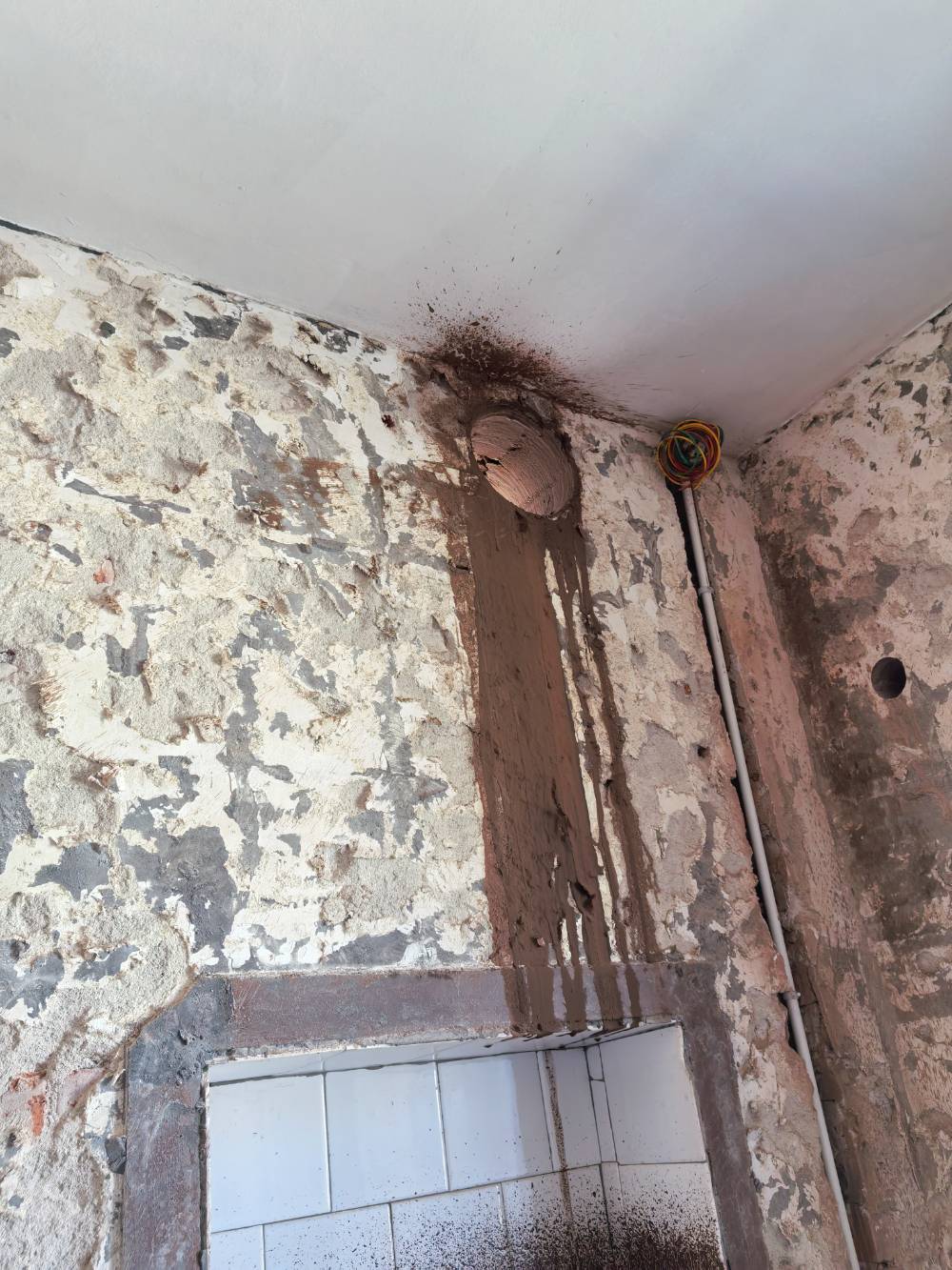 南通公园二村 1*-406 施工照片