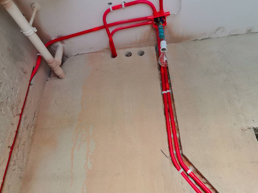 南通紫荆花园 1*-101 施工照片