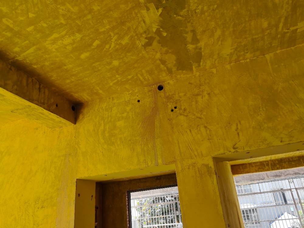 南通紫荆花园 1*-101 施工照片