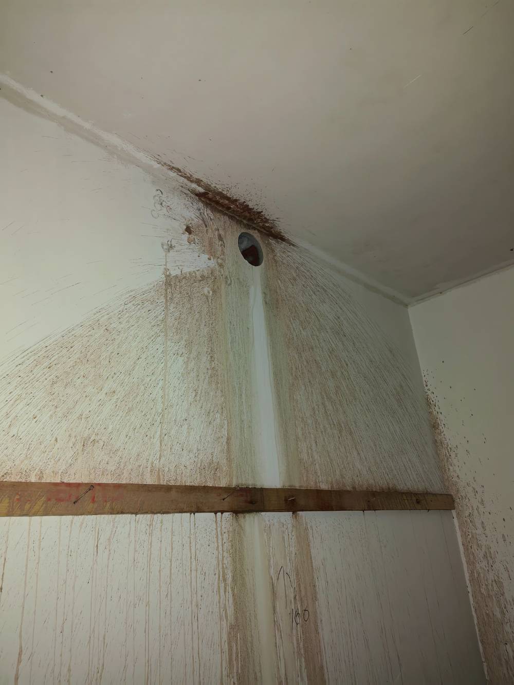 滨河东城 1*-201 施工照片