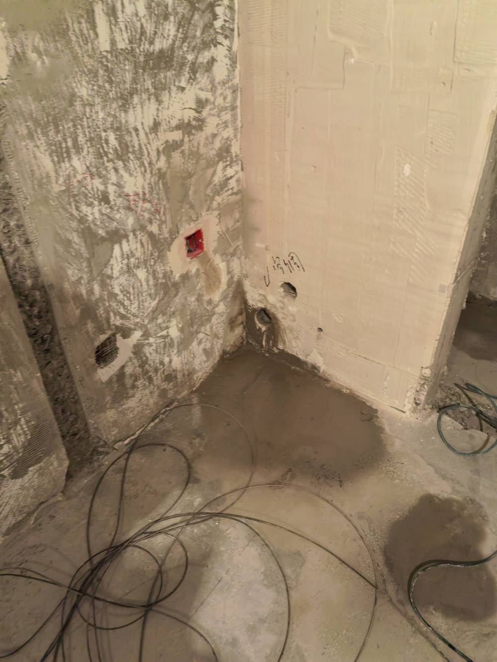 世纪之光 @ 31-2506