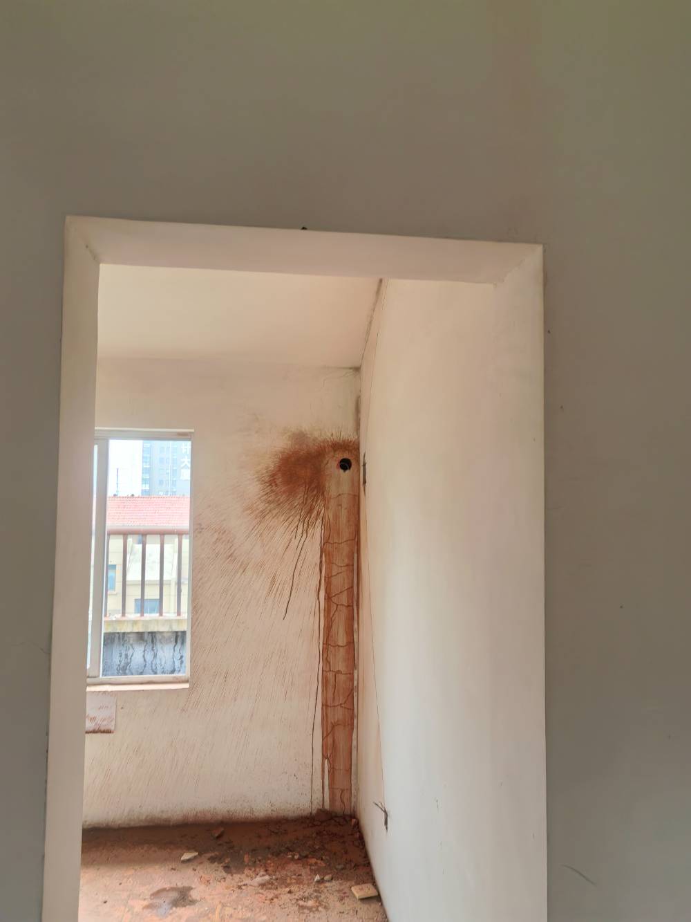 海港新村 2*-603 施工照片