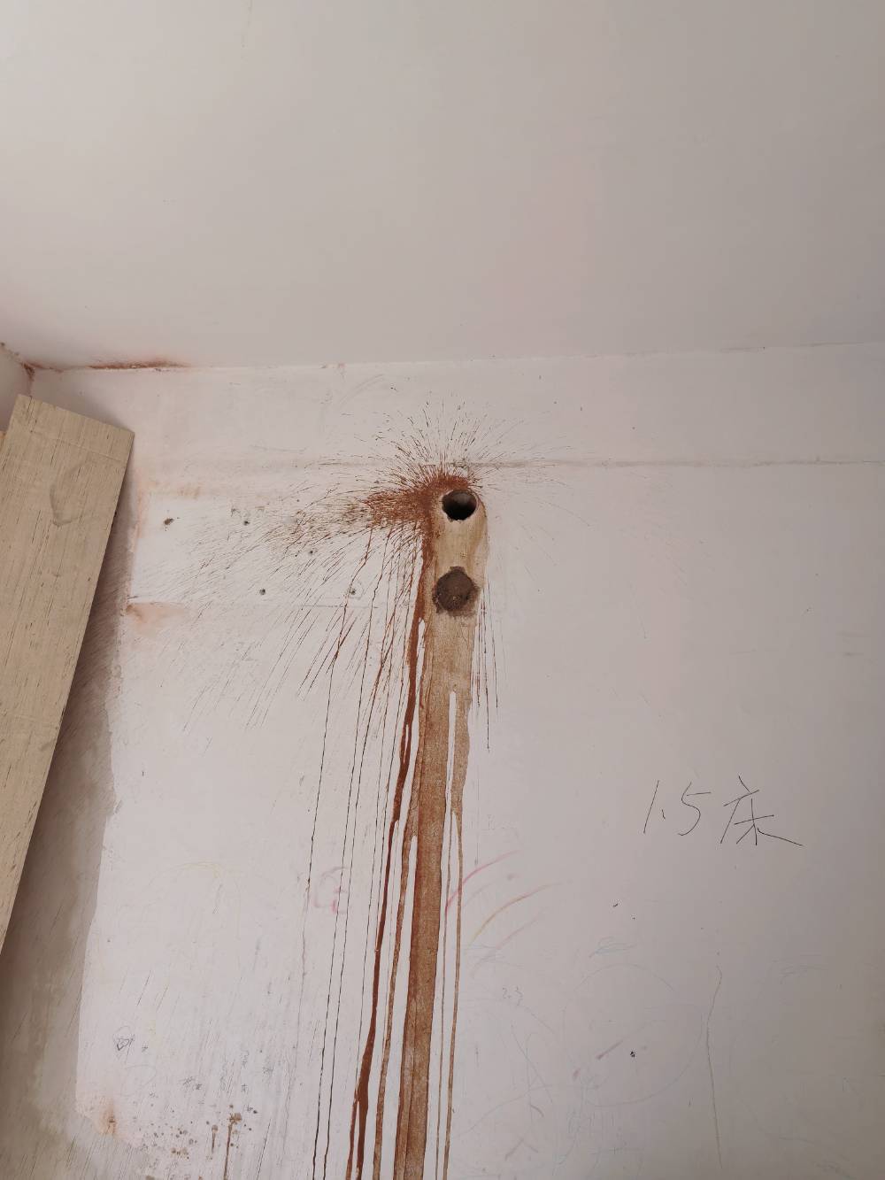 郭里园新村 9*-208 施工照片