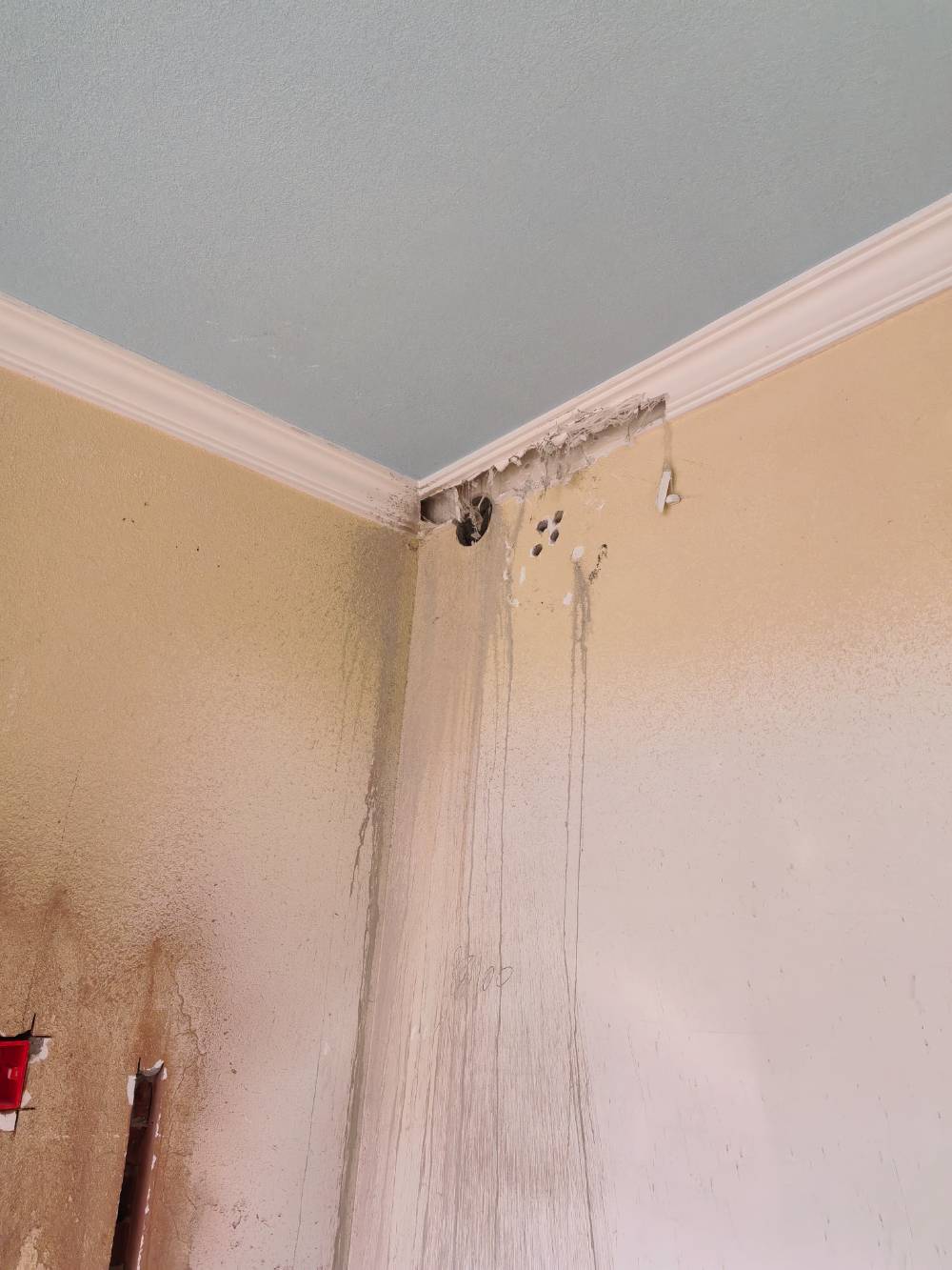 晨苑 1*-604 施工照片