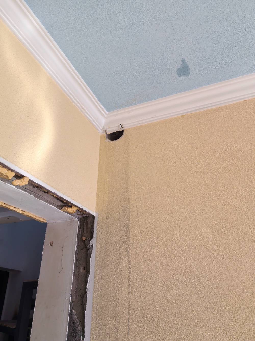 晨苑 1*-604 施工照片