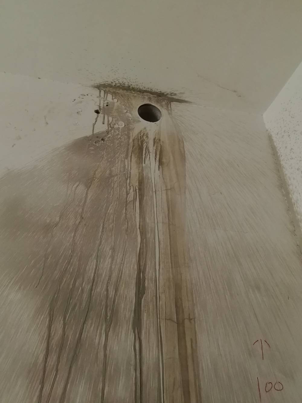 第九园 别墅4*-2 施工照片