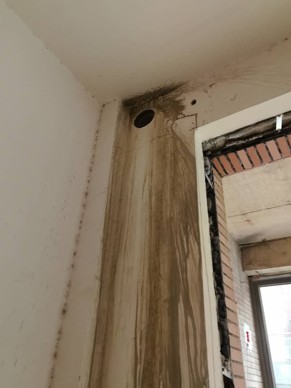 第九园 别墅4*-2 施工照片