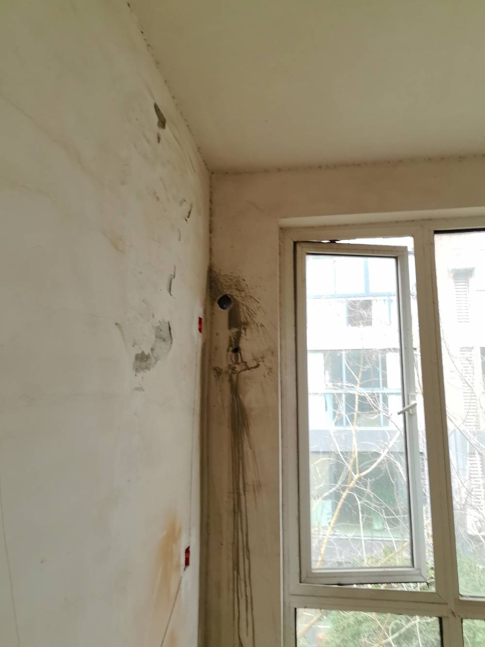 第九园 别墅4*-2 施工照片